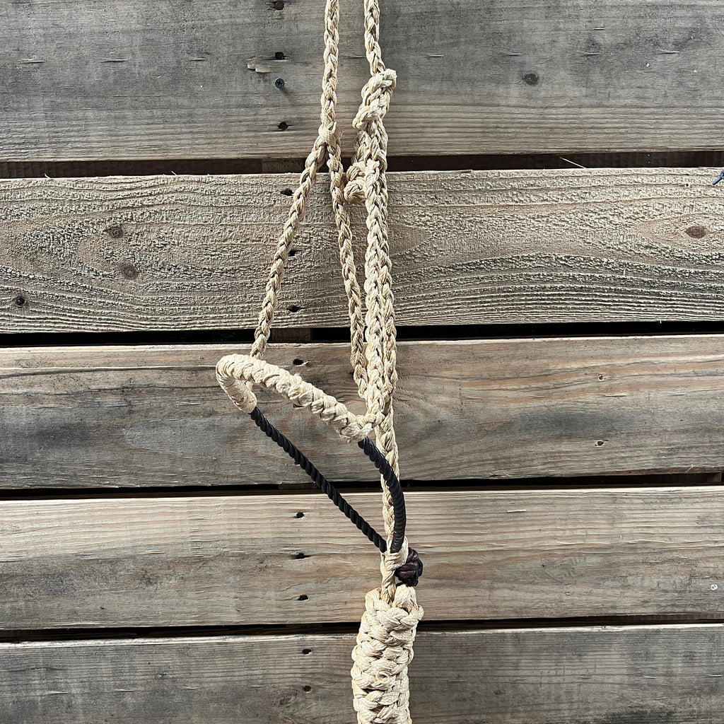 Lariat Mule Tape Halters - Assorted Colors- — view 4