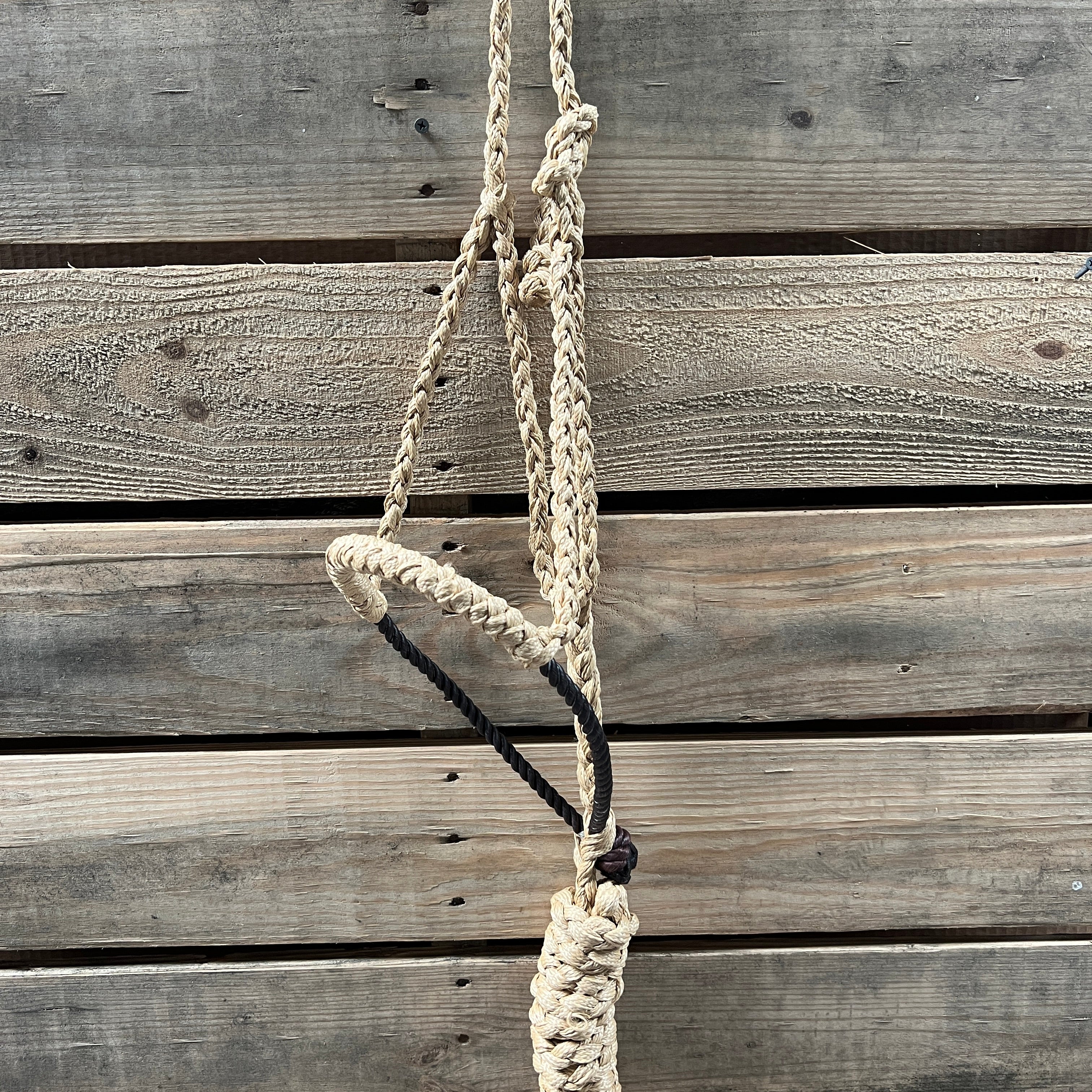 Lariat Mule Tape Halters - Assorted Colors- — view 4