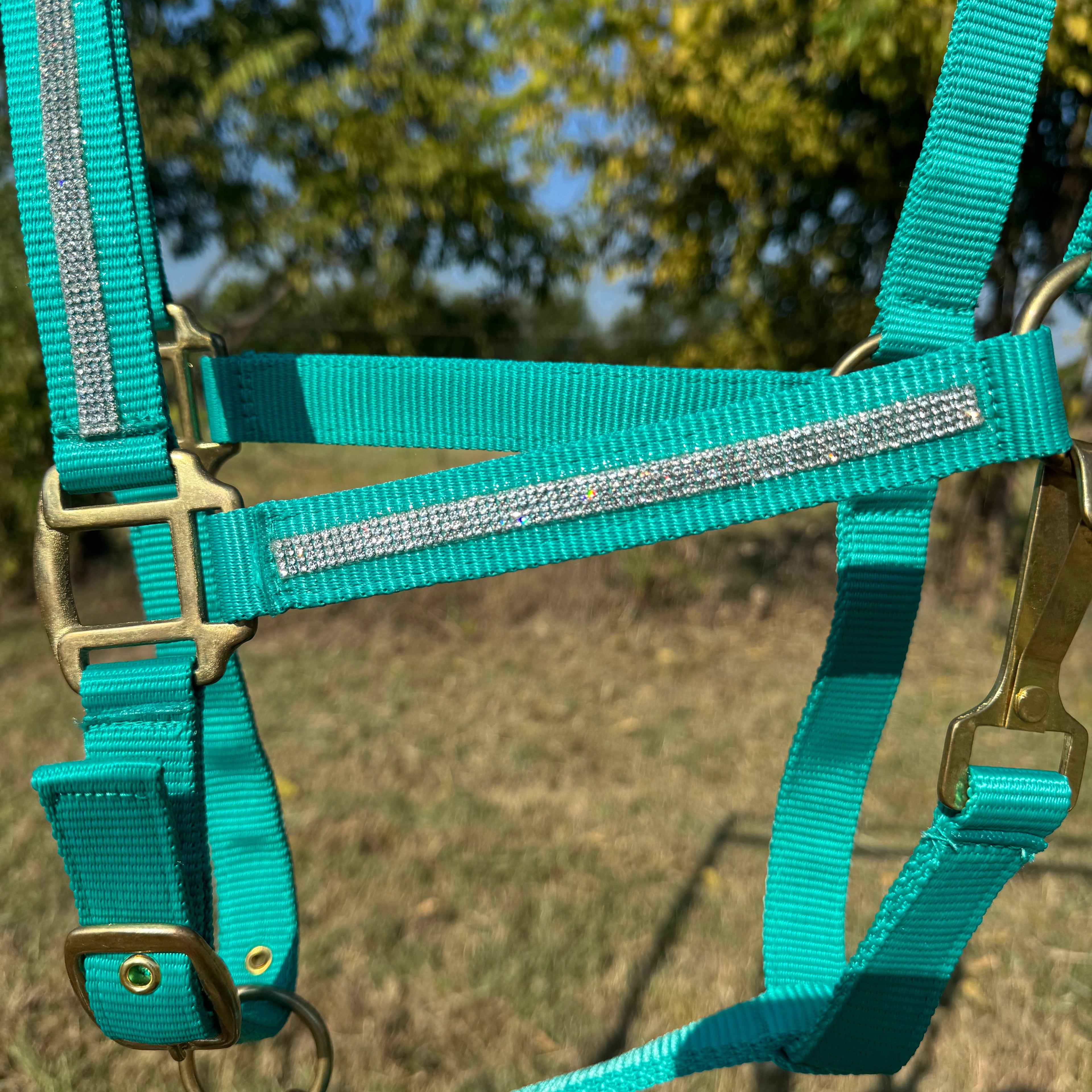 Teal Bling Nylon Horse Halter BNHTEAL — view 3
