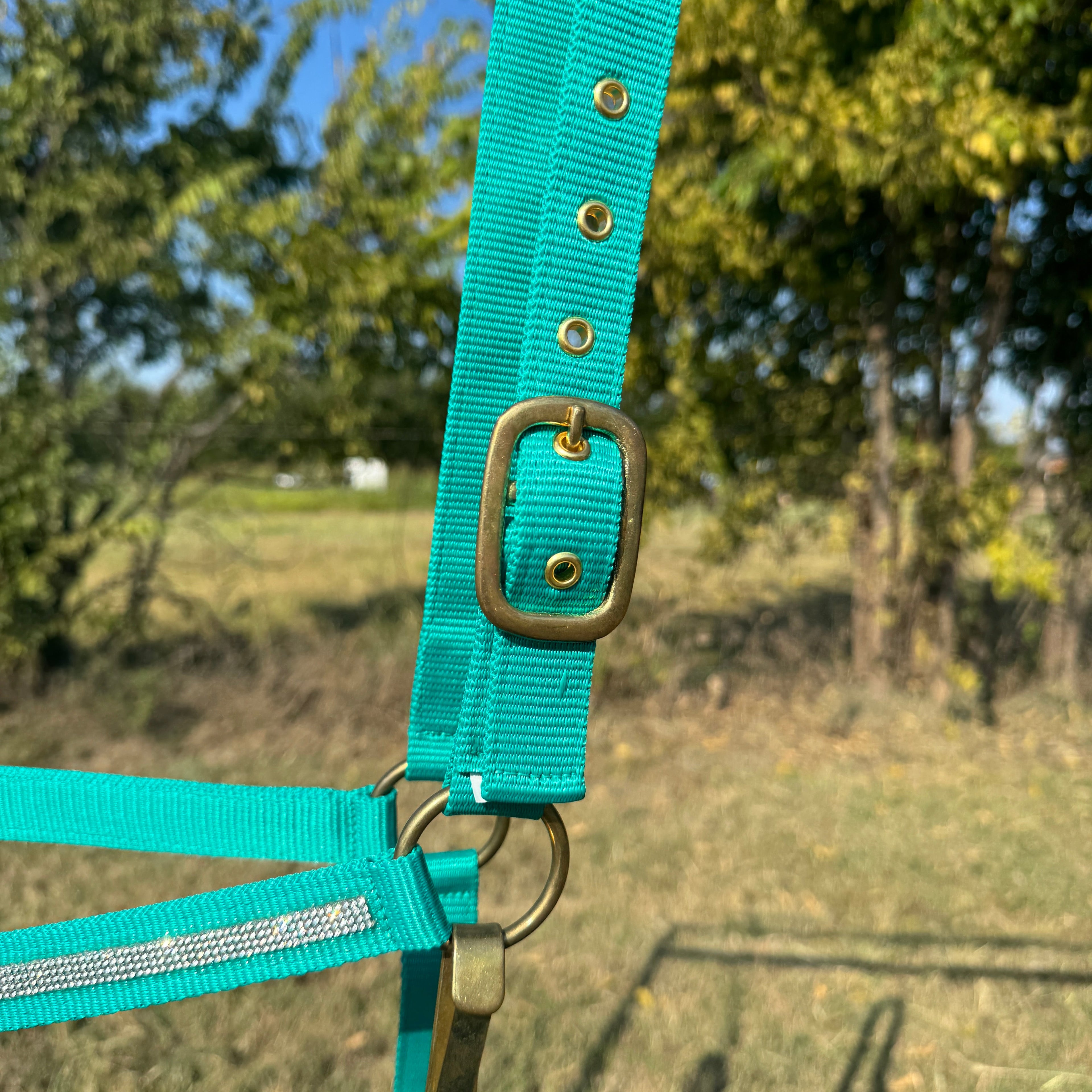Teal Bling Nylon Horse Halter BNHTEAL — view 4