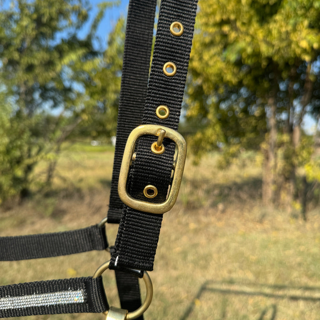 Black Bling Nylon Horse Halter BNHBLK — view 5