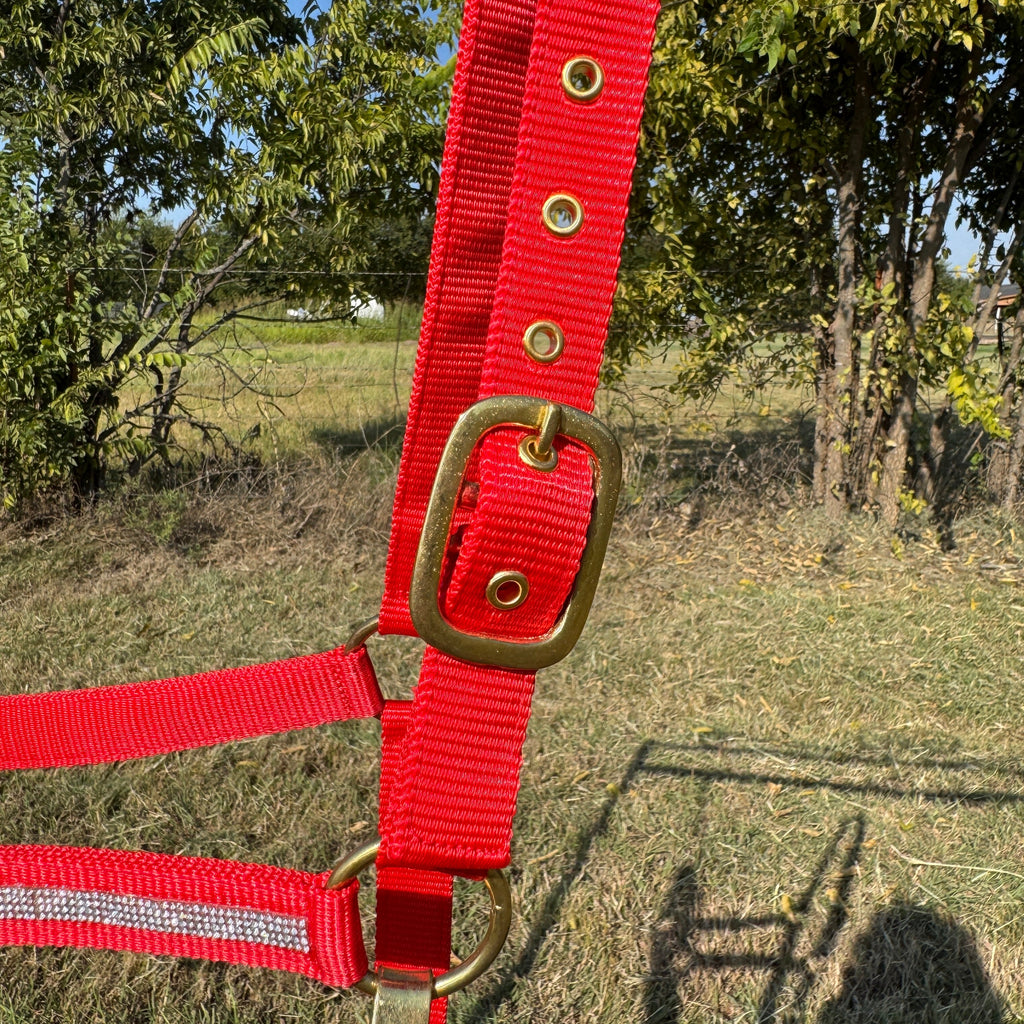 Red Bling Nylon Horse Halter BNHRED — view 5