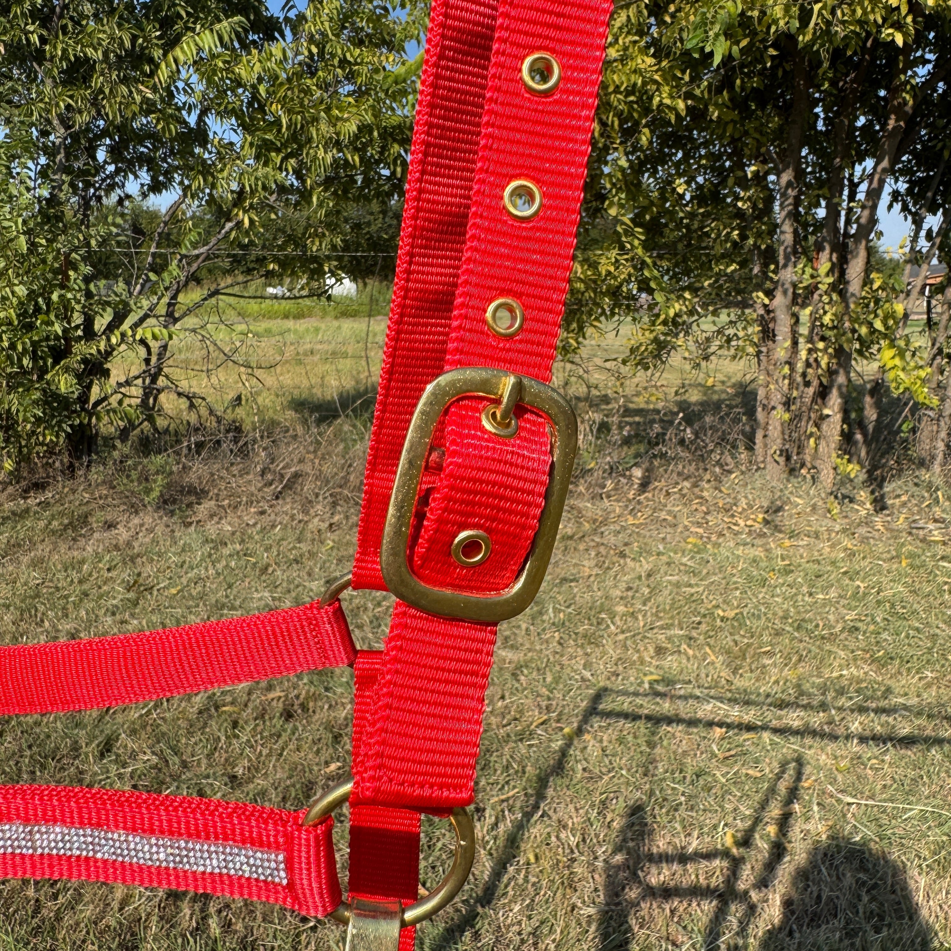 Red Bling Nylon Horse Halter BNHRED — view 5