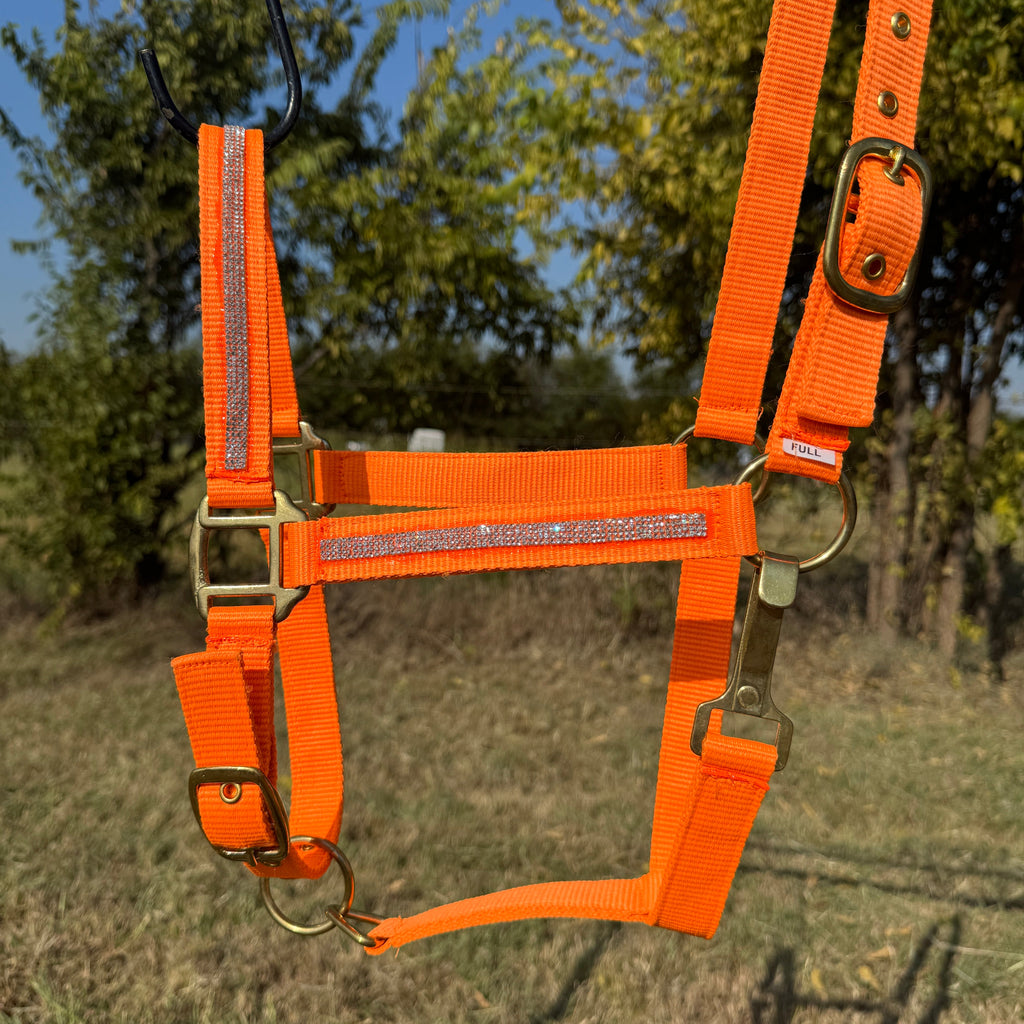 Orange Bling Nylon Horse Halter BNHORA
