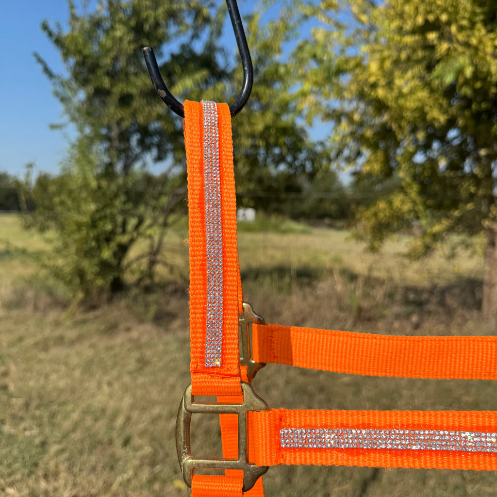Orange Bling Nylon Horse Halter BNHORA — view 3