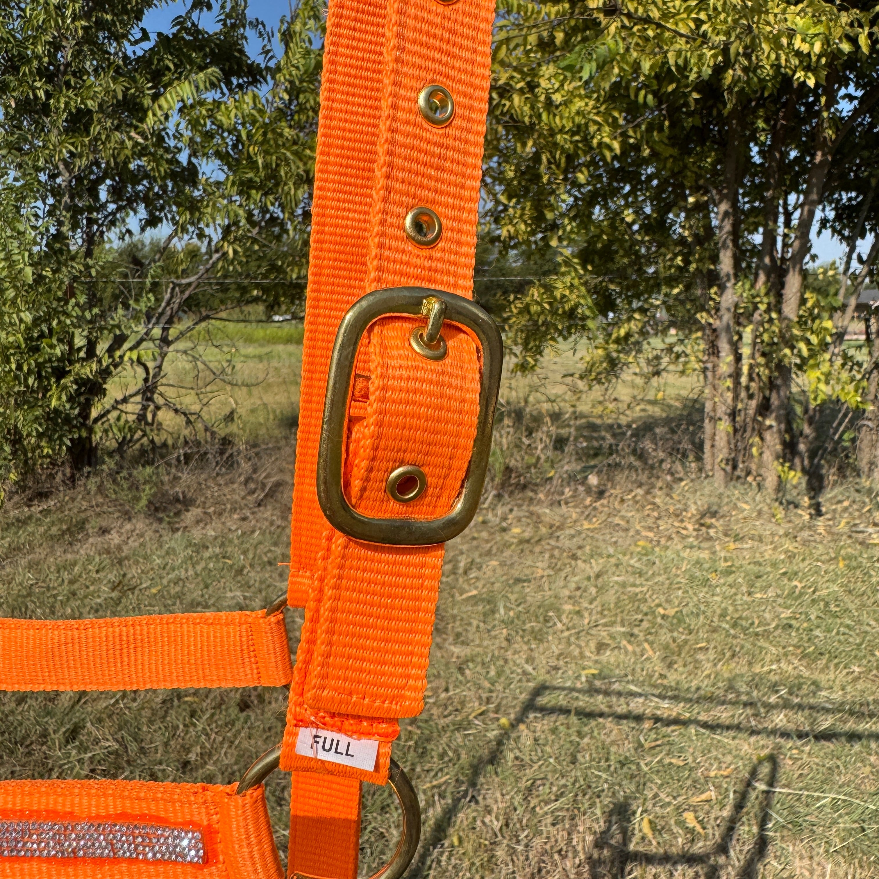 Orange Bling Nylon Horse Halter BNHORA — view 5