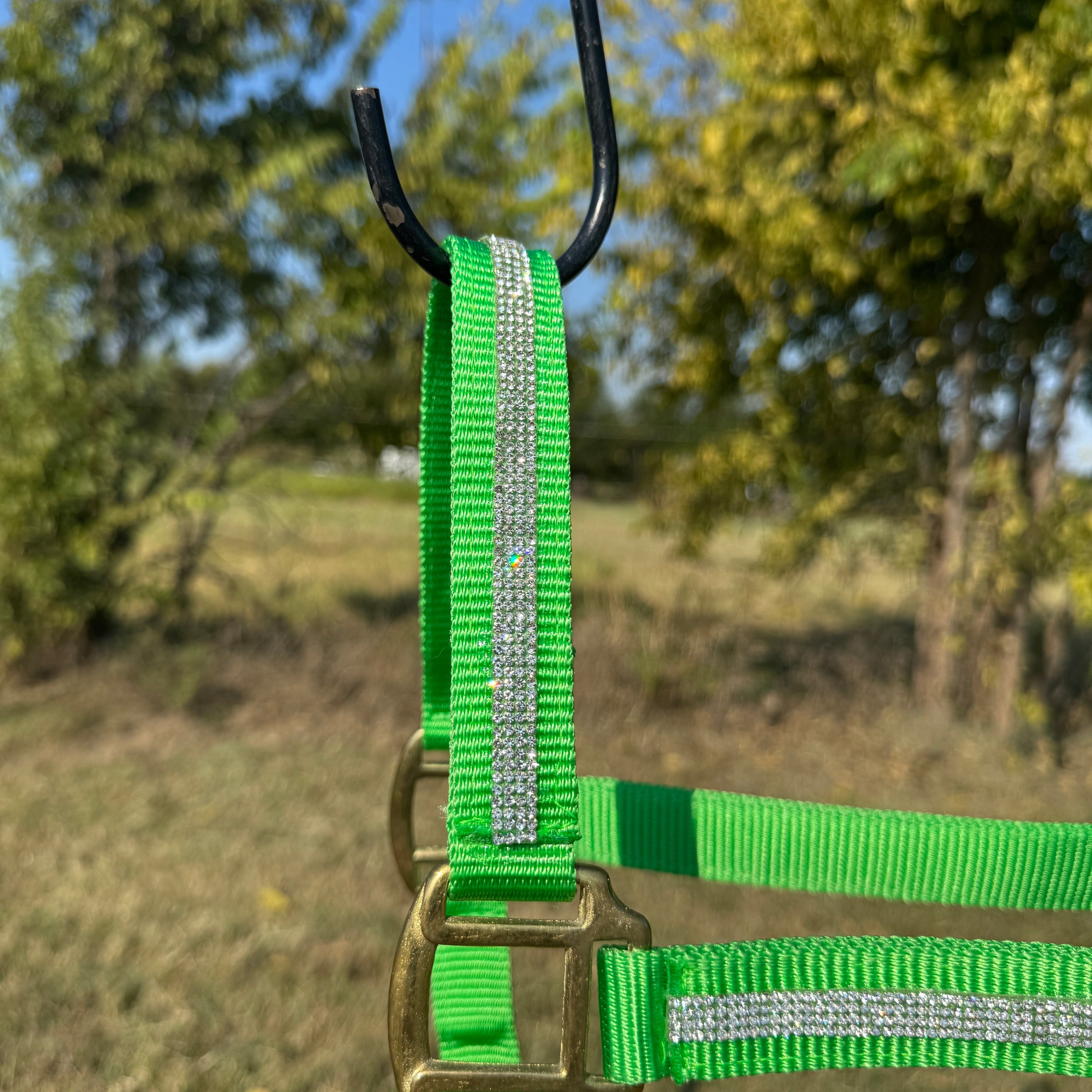 Lime Bling Nylon Horse Halter BNHNGN — view 3