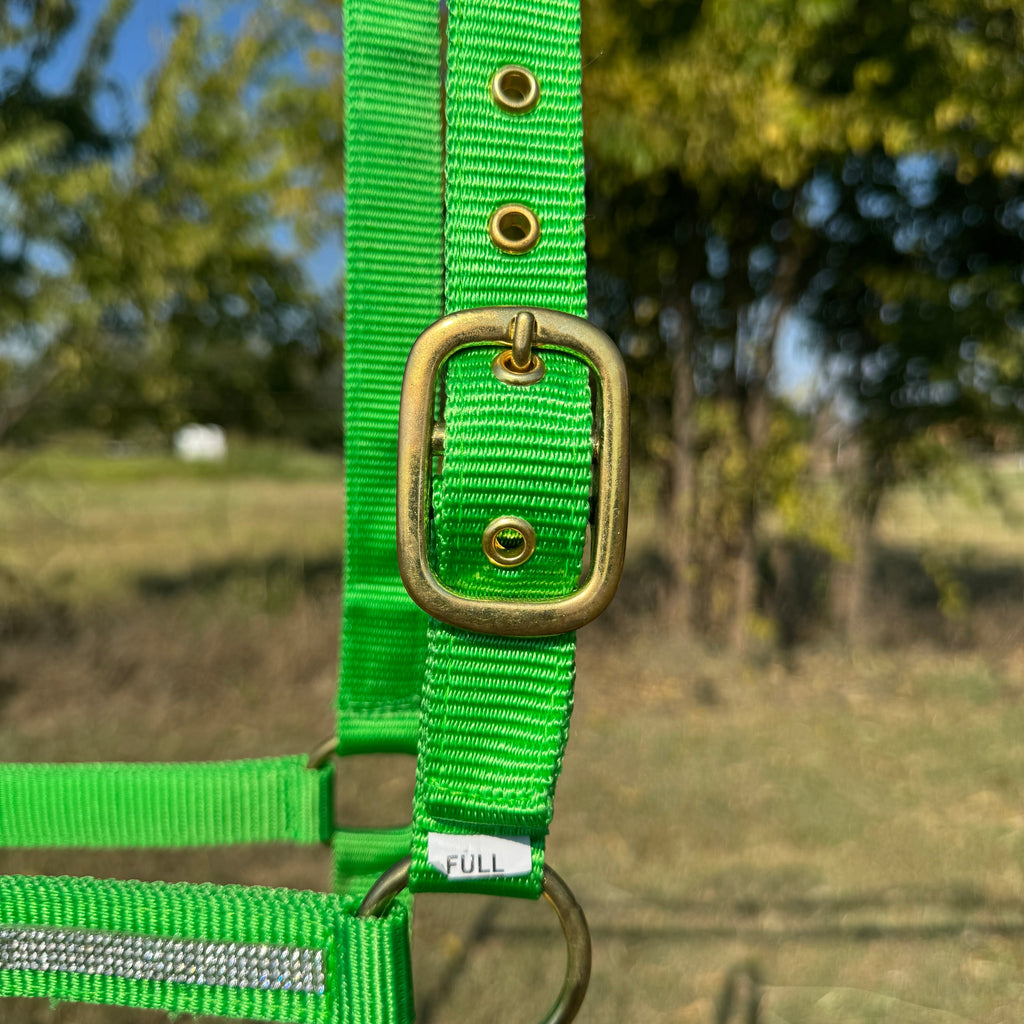 Lime Bling Nylon Horse Halter BNHNGN — view 5