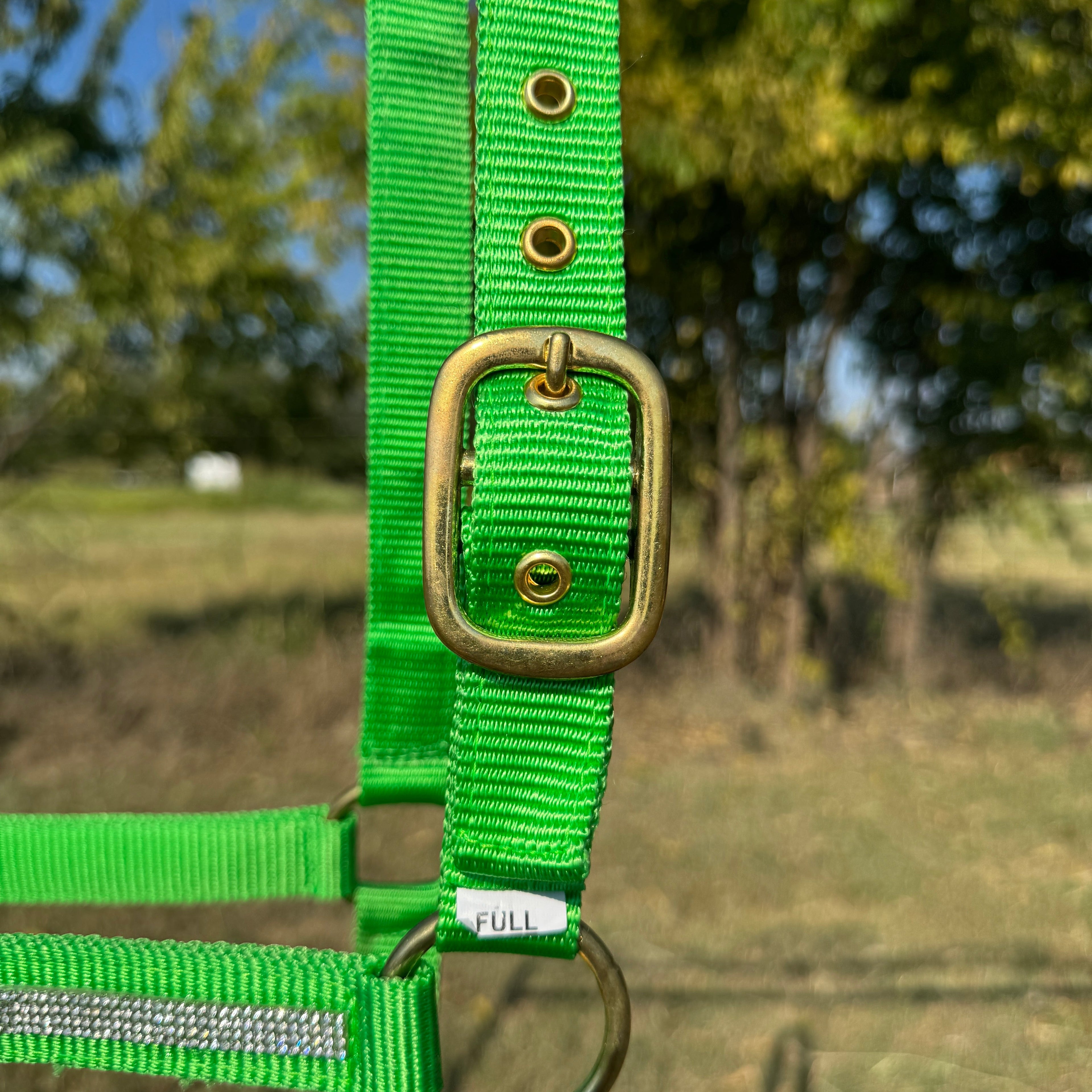 Lime Bling Nylon Horse Halter BNHNGN — view 5