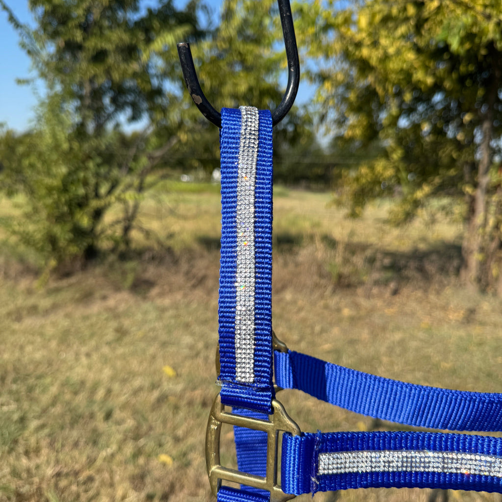 Blue Bling Nylon Horse Halter BNHBLUE — view 2