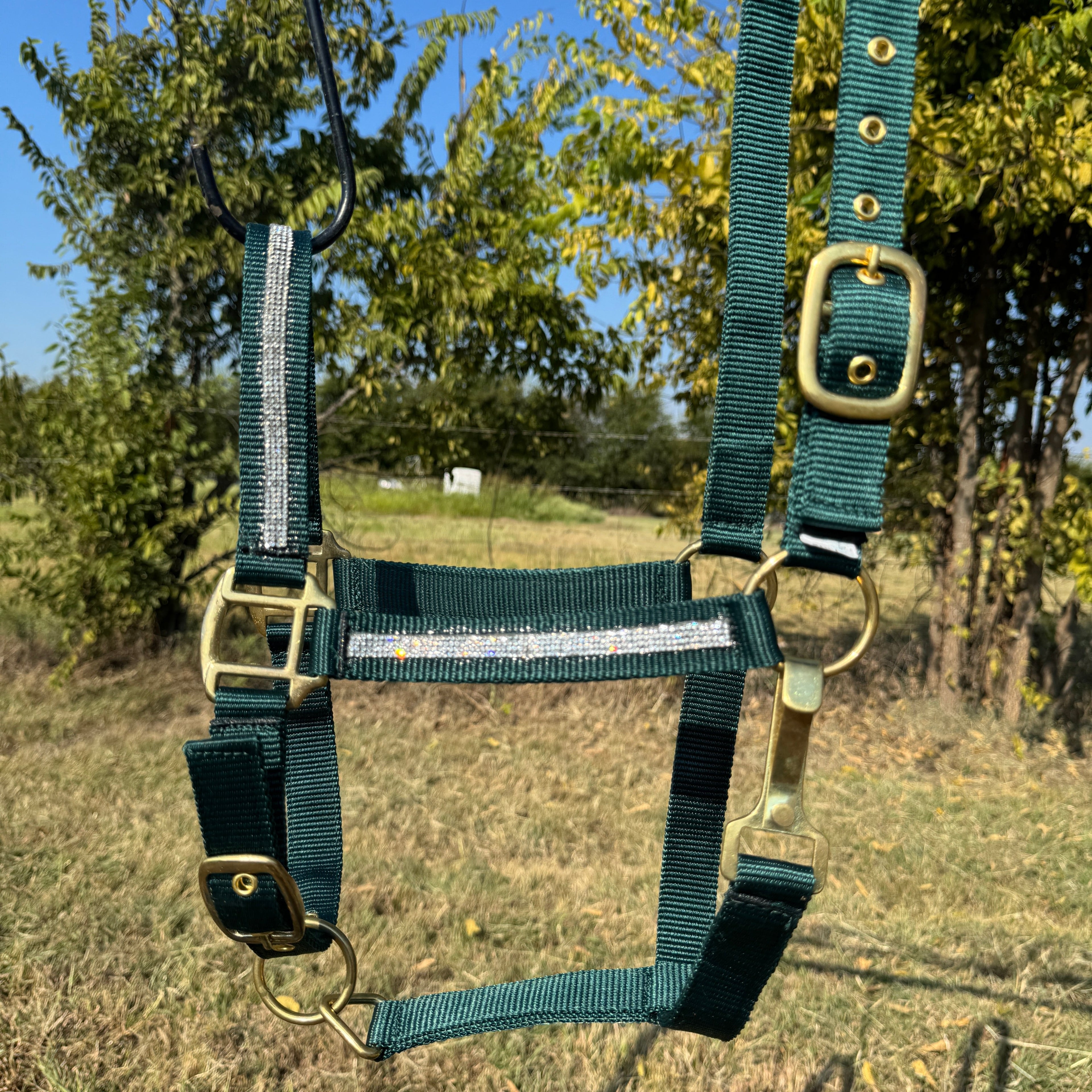 Bling Nylon Horse Halter - Assorted Colors — view 4