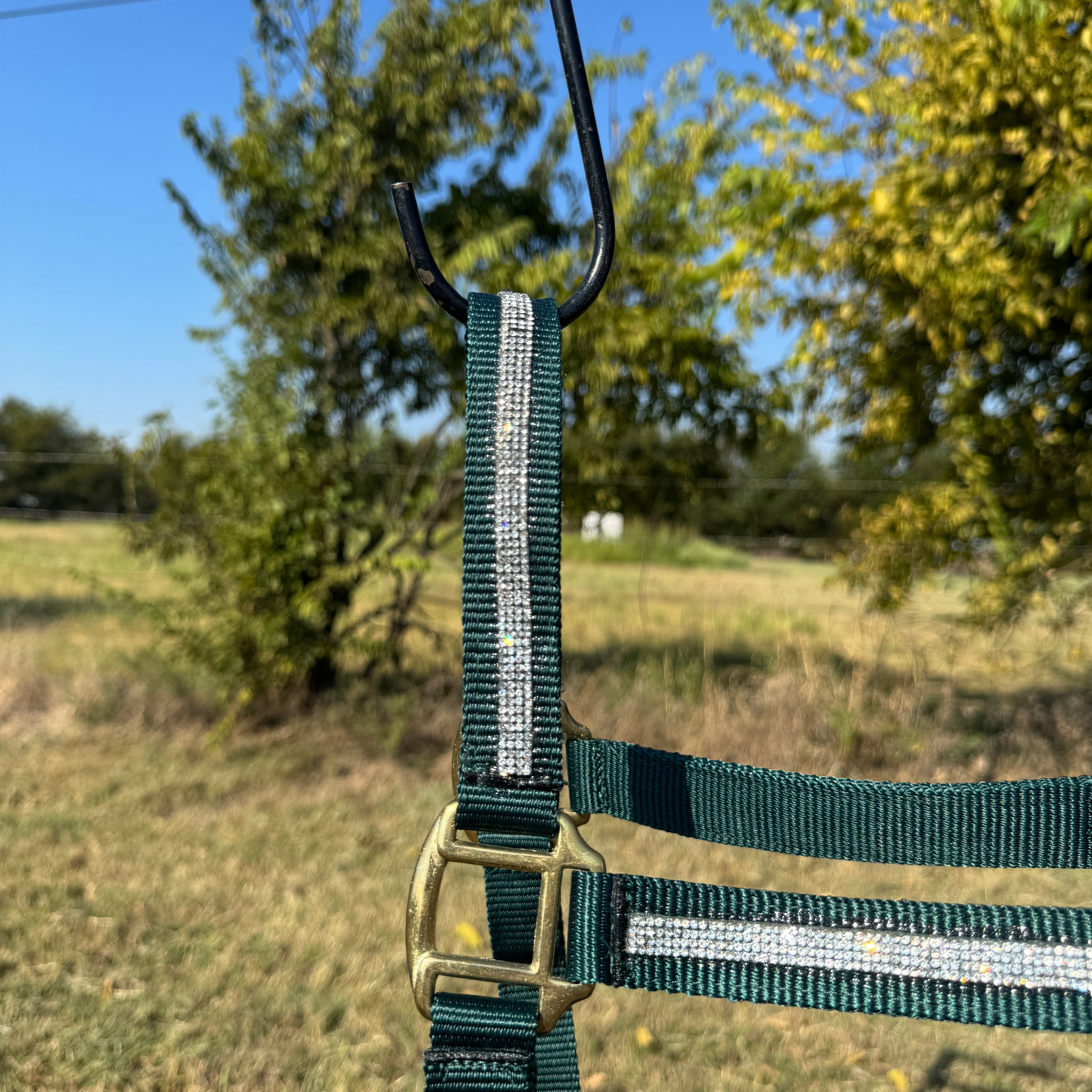 Hunter Green Bling Nylon Horse Halter BNHGRN — view 3