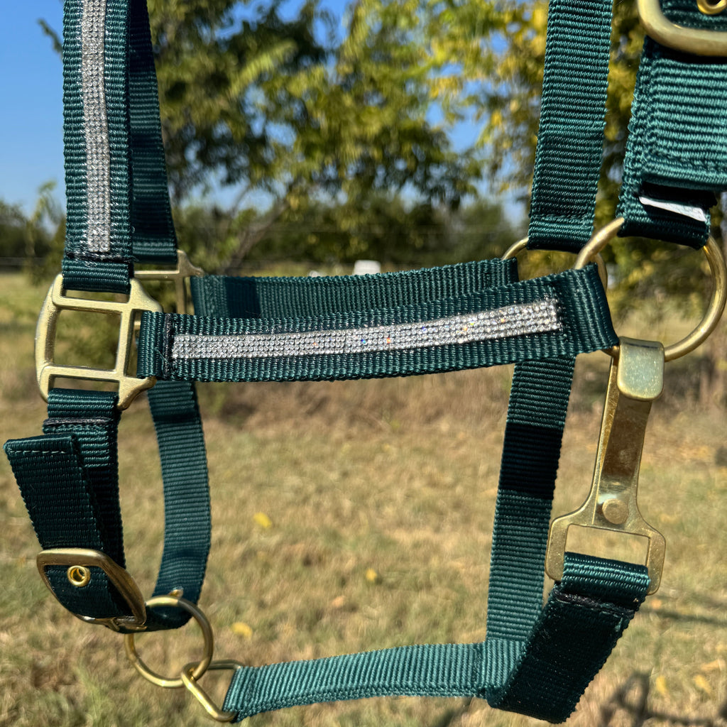 Hunter Green Bling Nylon Horse Halter BNHGRN — view 4