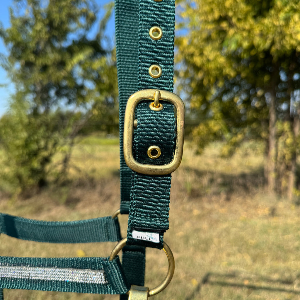 Hunter Green Bling Nylon Horse Halter BNHGRN — view 5