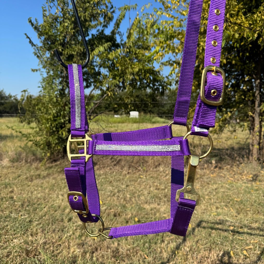 Purple Bling Nylon Horse Halter BNHPUR