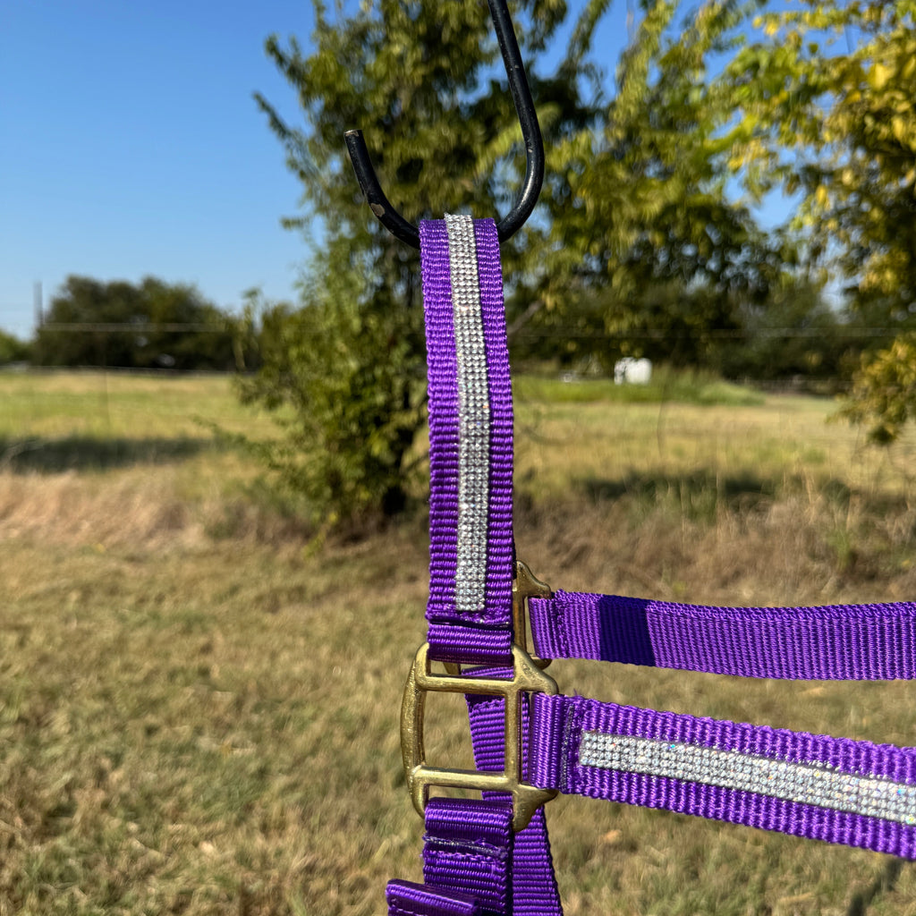 Purple Bling Nylon Horse Halter BNHPUR — view 2