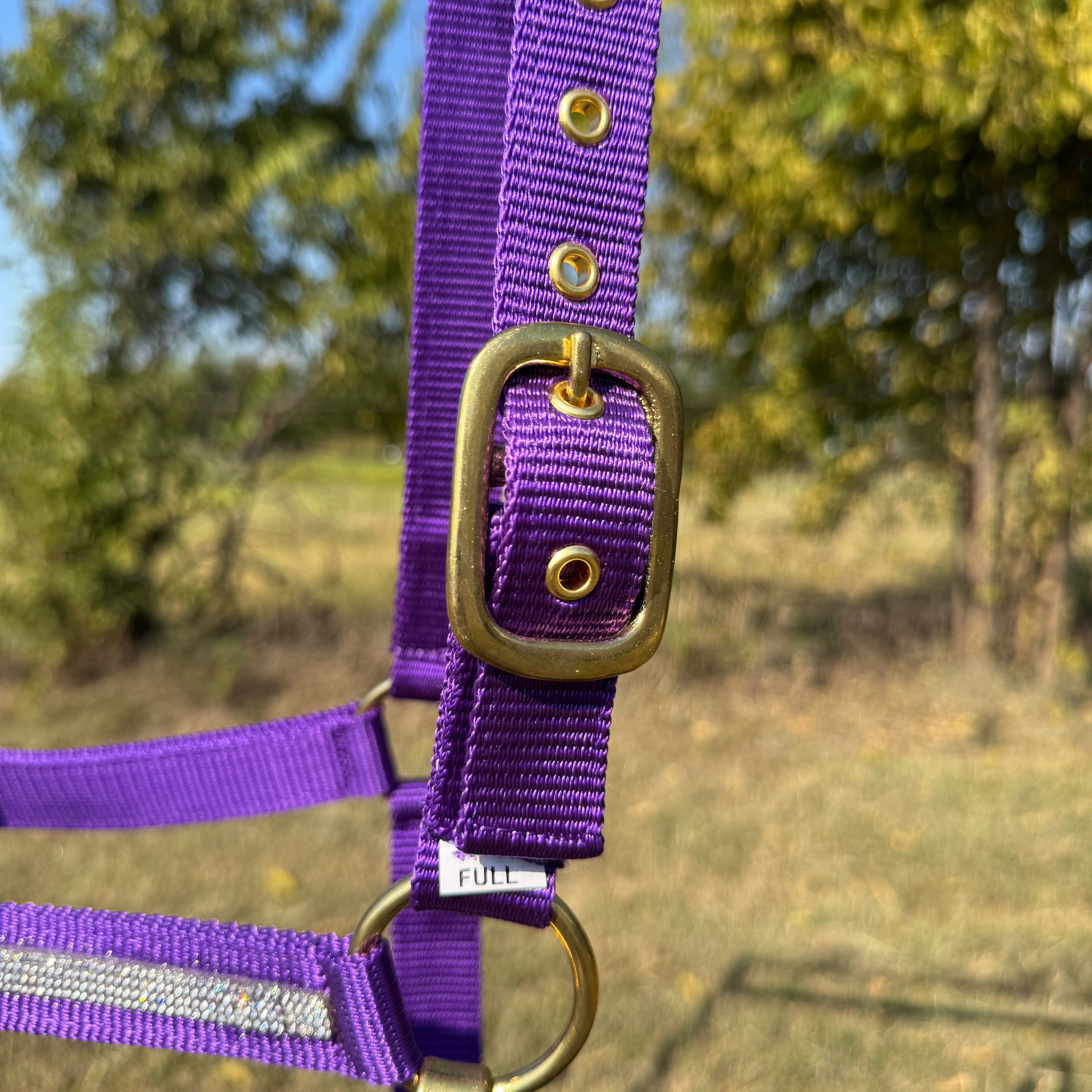 Purple Bling Nylon Horse Halter BNHPUR — view 4