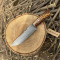 Fixed Blade Knife Damascus Steel Straight Back Blade Red Pine cone Handle