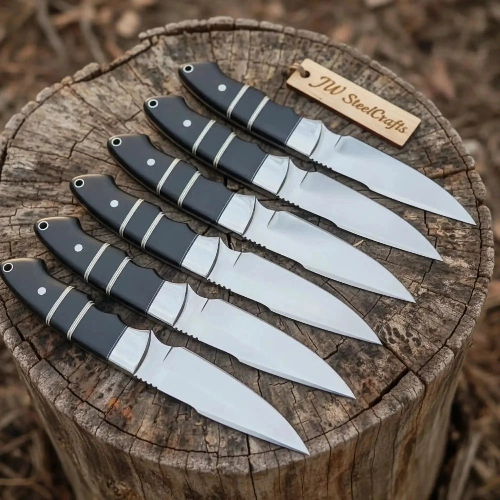 Handmade  Full Tang Blades Hunting Knife Set 6-Piece High Carbon Blades with Black Resin Handles