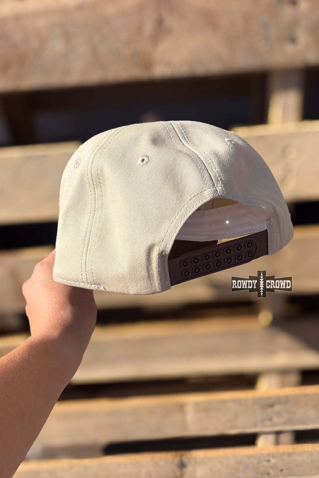 DS Lucky Horseshoe CAP