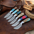 Prairie Palette Skinner Knife set of 6 Multi Color Resin Handle Steel Bolster Full Tang Skinner