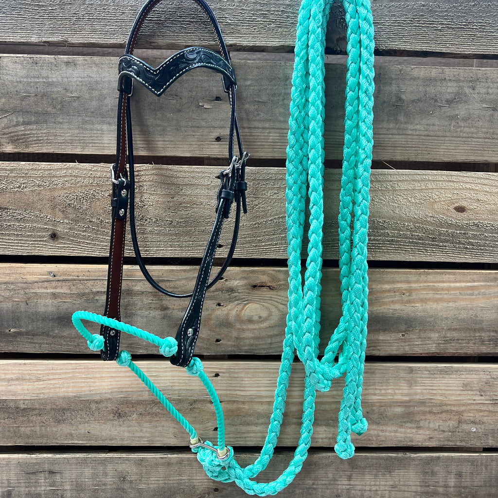 Black Floral V-Brow Turquoise Loping Hackamore #LHK028