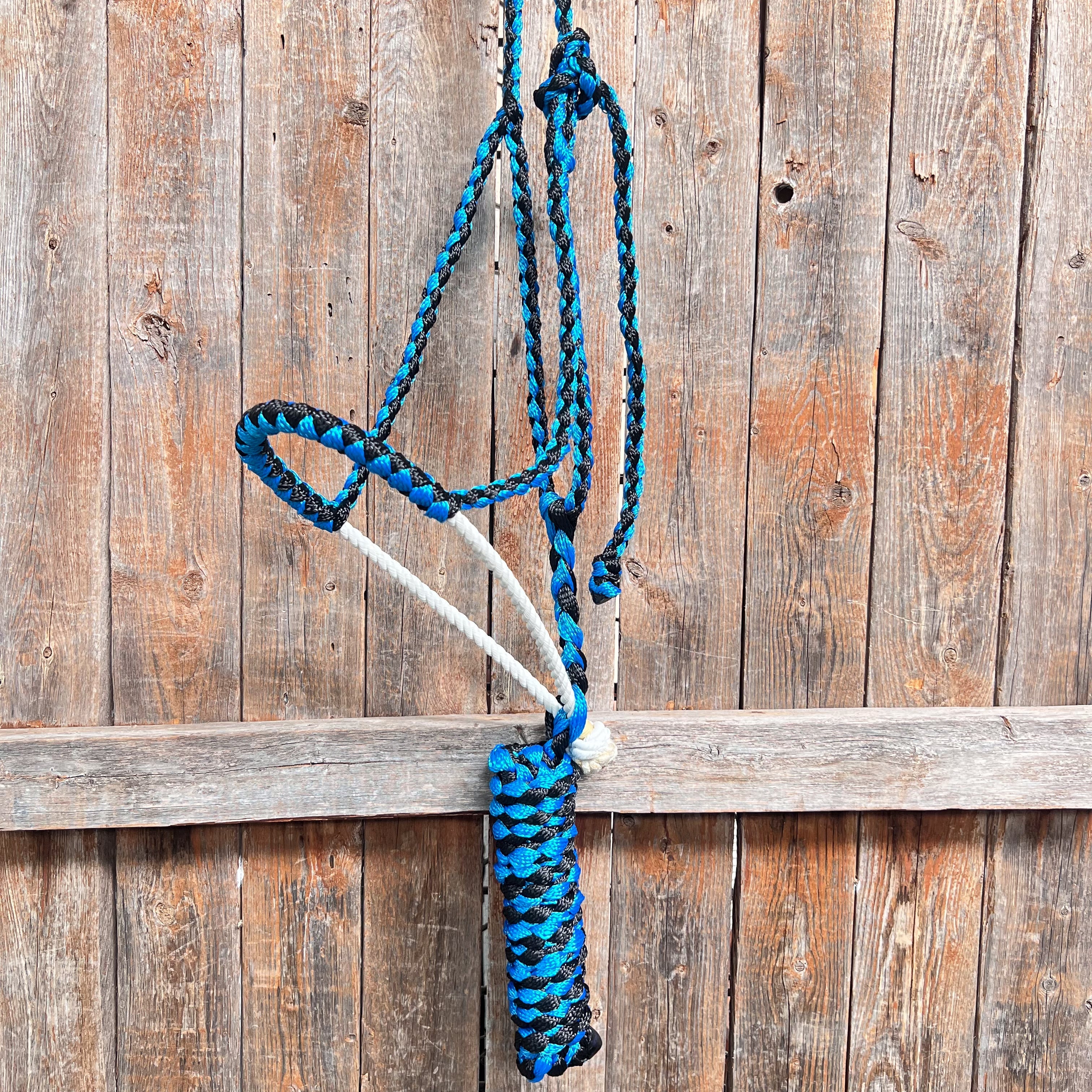 Blue and Black Lariat Noseband Mule Tape Halter — view 3