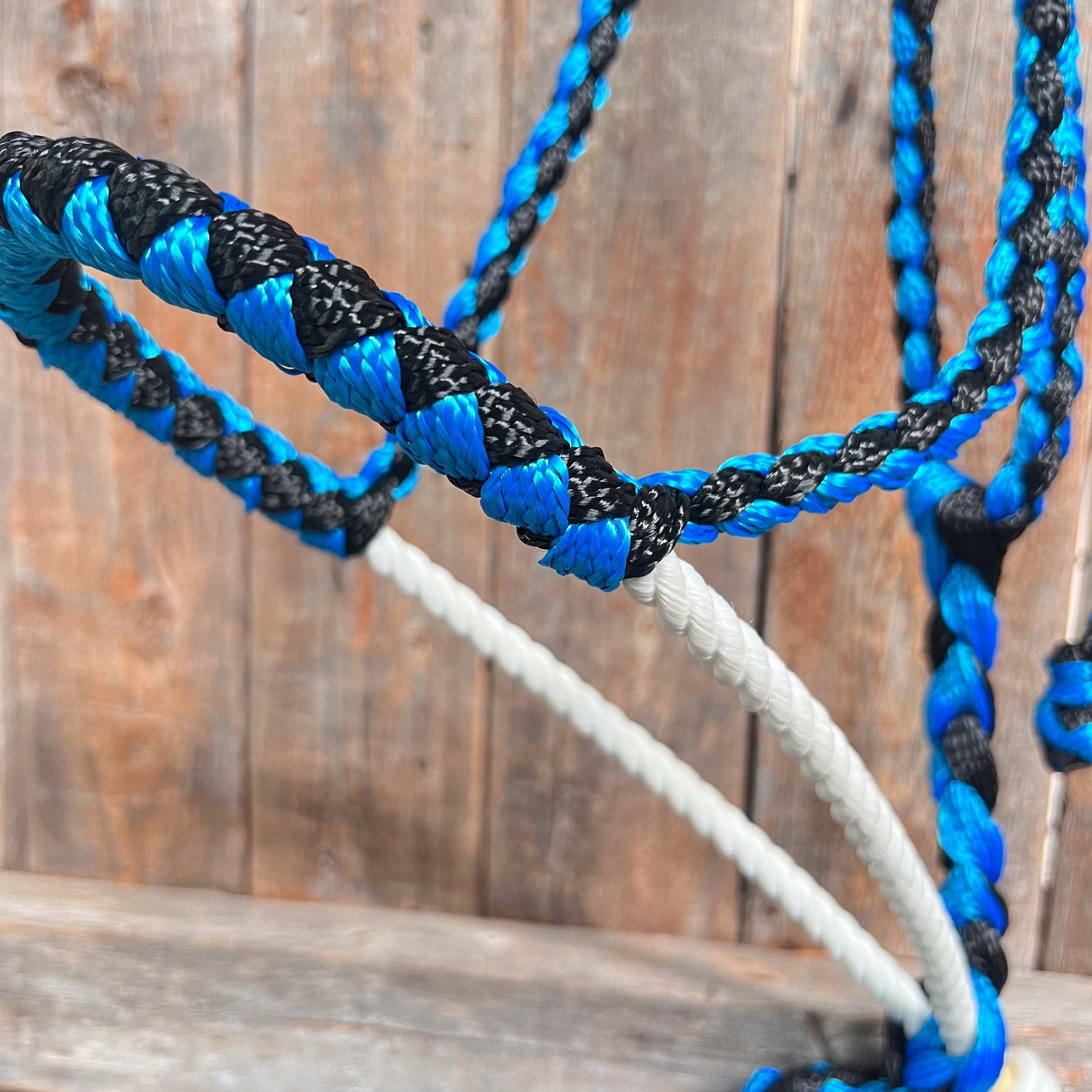Blue and Black Lariat Noseband Mule Tape Halter — view 2