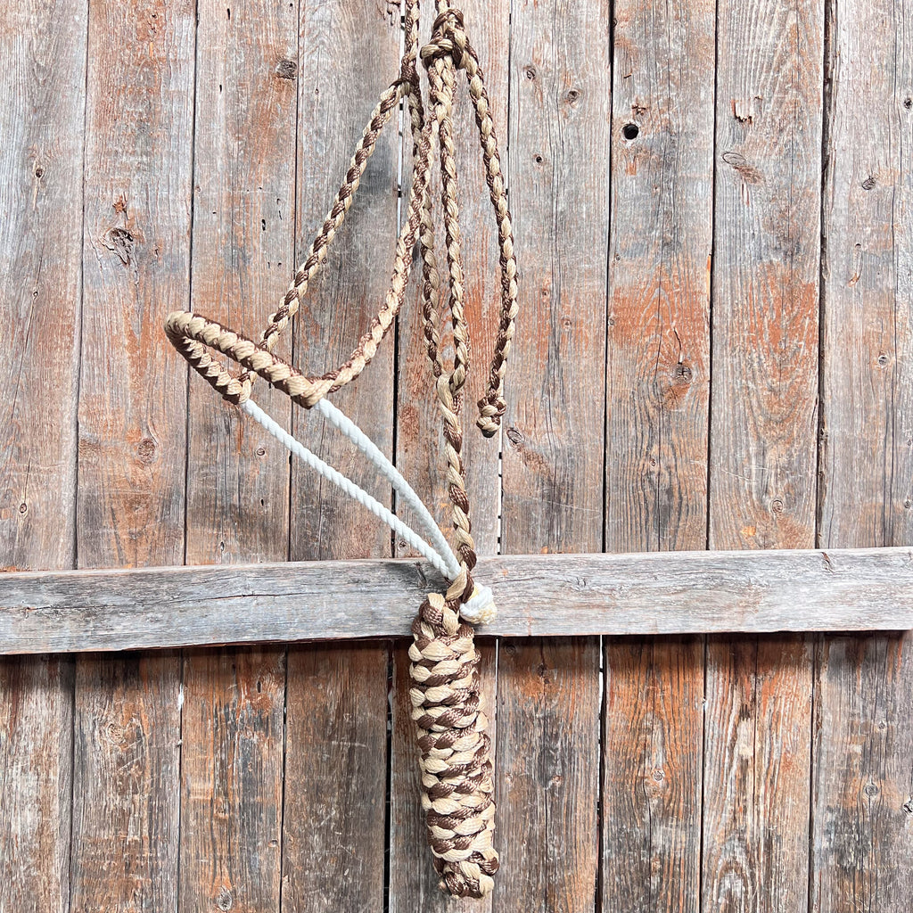 Brown and Tan Lariat Noseband Mule Tape Halter — view 3
