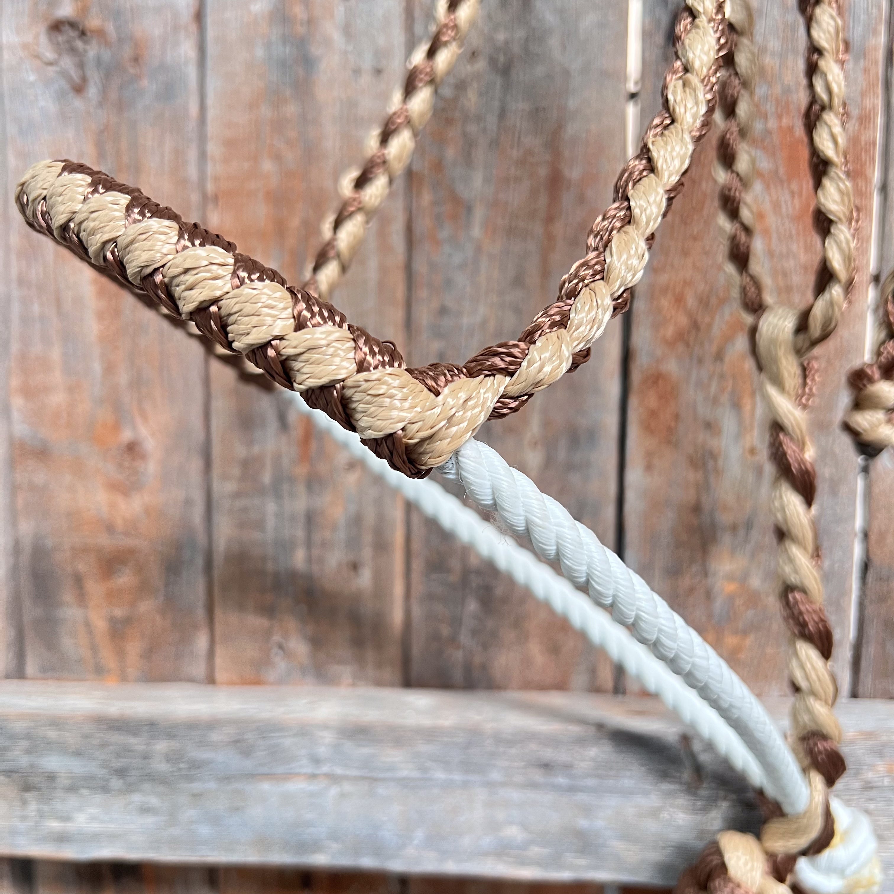 Brown and Tan Lariat Noseband Mule Tape Halter — view 2