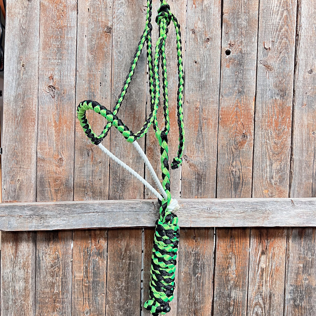 Green and Black Lariat Noseband Mule Tape Halter — view 3