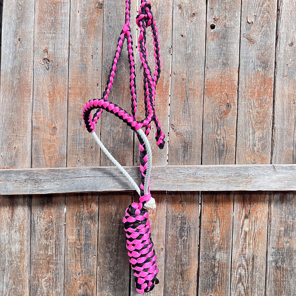Pink and Black Lariat Noseband Mule Tape Halter — view 3