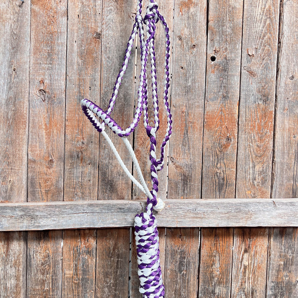 Purple and White Lariat Noseband Mule Tape Halter — view 3