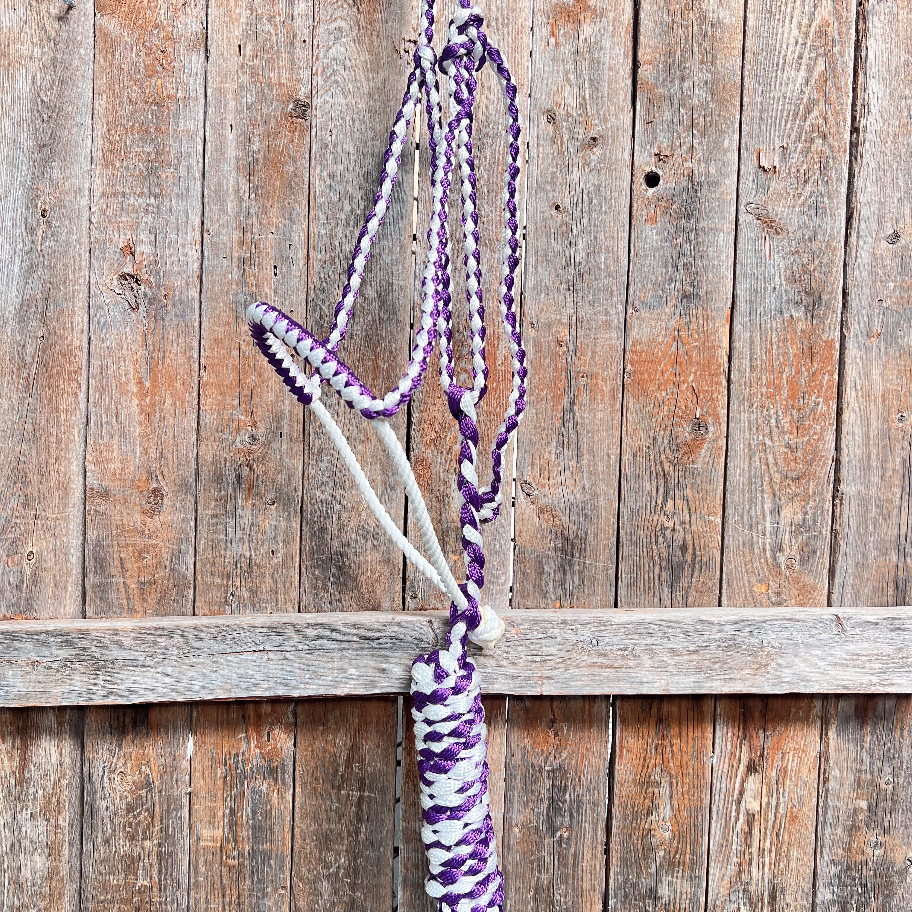 Purple and White Lariat Noseband Mule Tape Halter — view 3