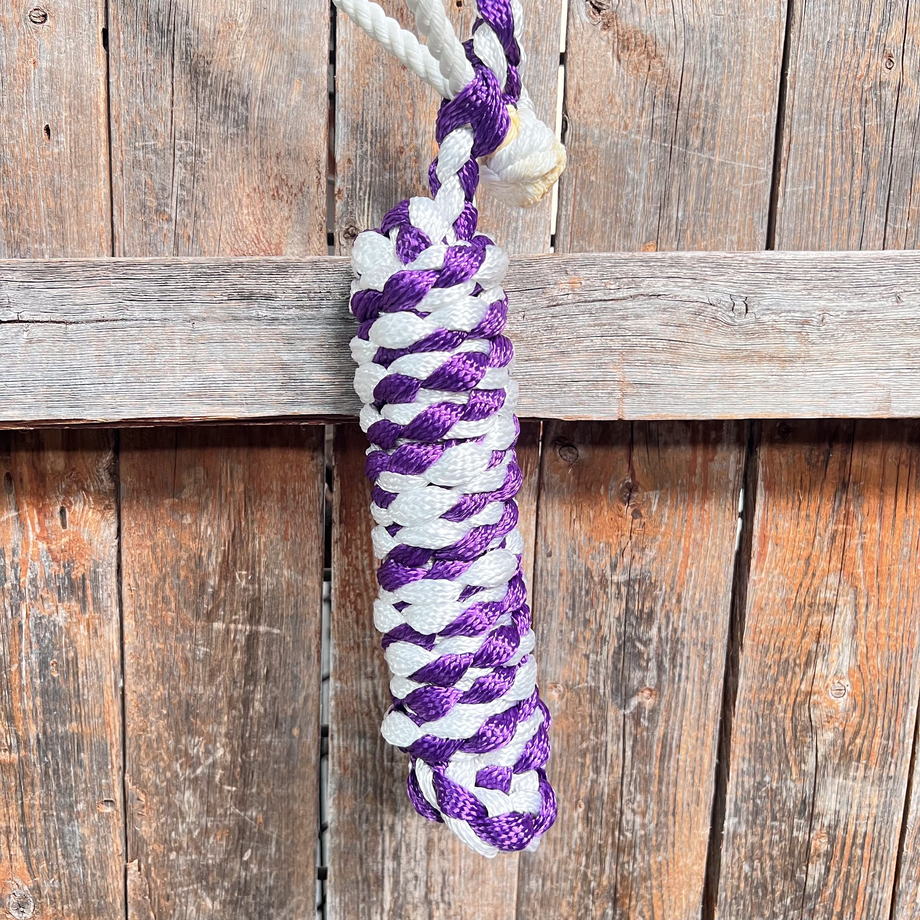 Purple and White Lariat Noseband Mule Tape Halter — view 4