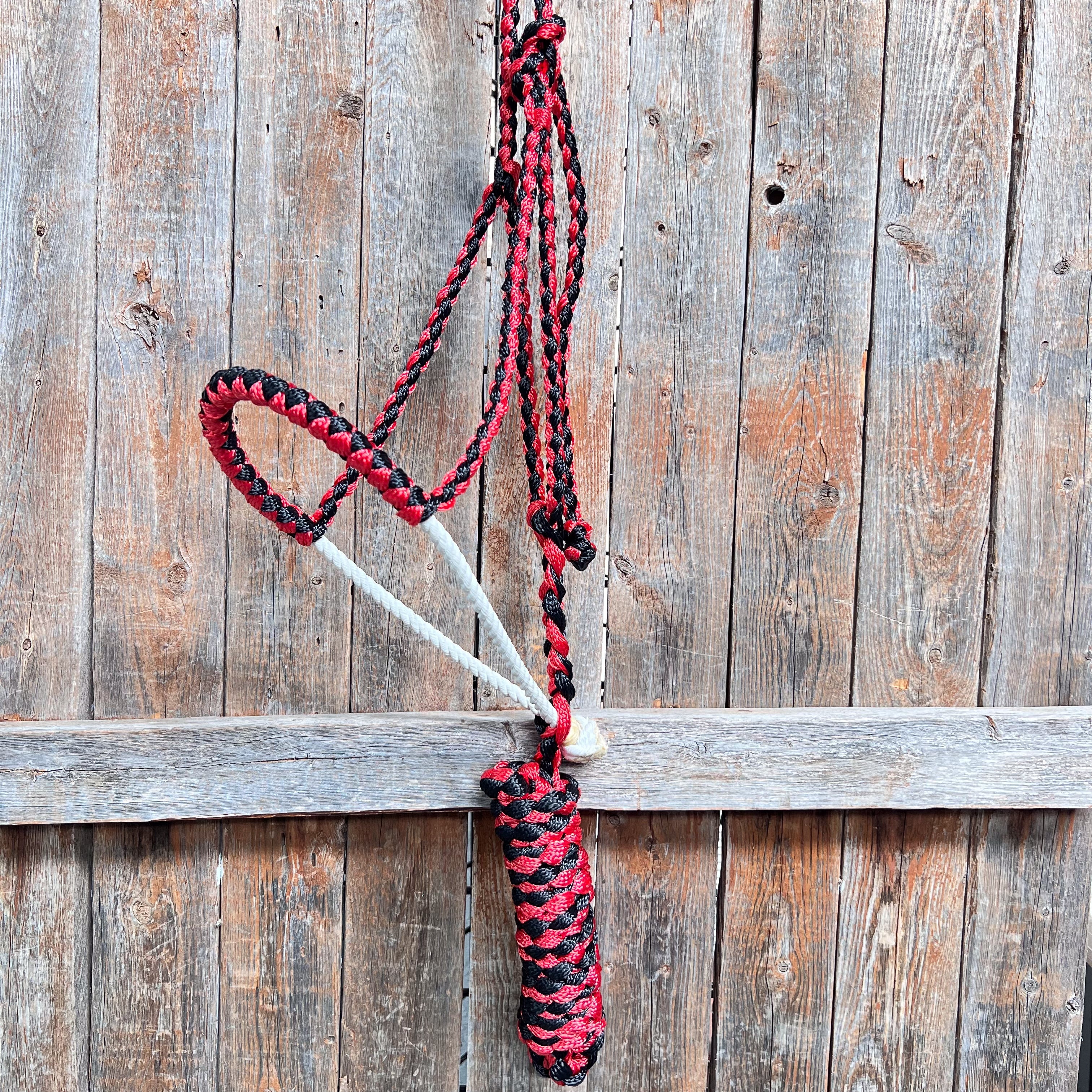 Red and Black Lariat Noseband Mule Tape Halter — view 3