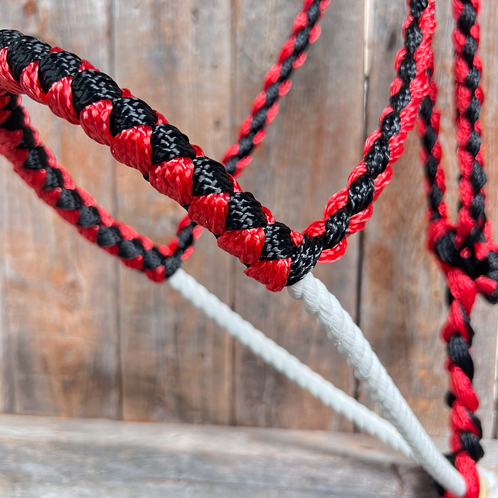Red and Black Lariat Noseband Mule Tape Halter — view 2