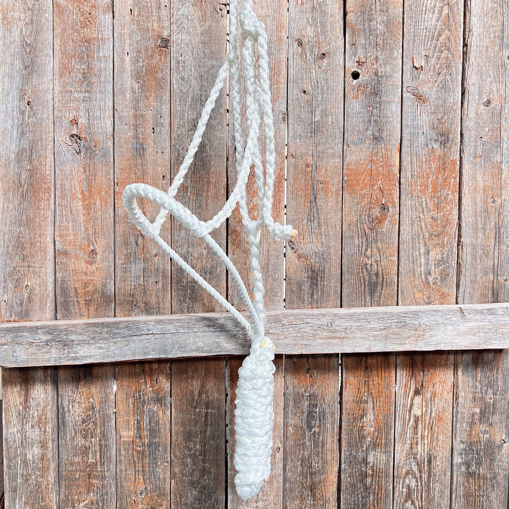 White Lariat Noseband Mule Tape Halter — view 3