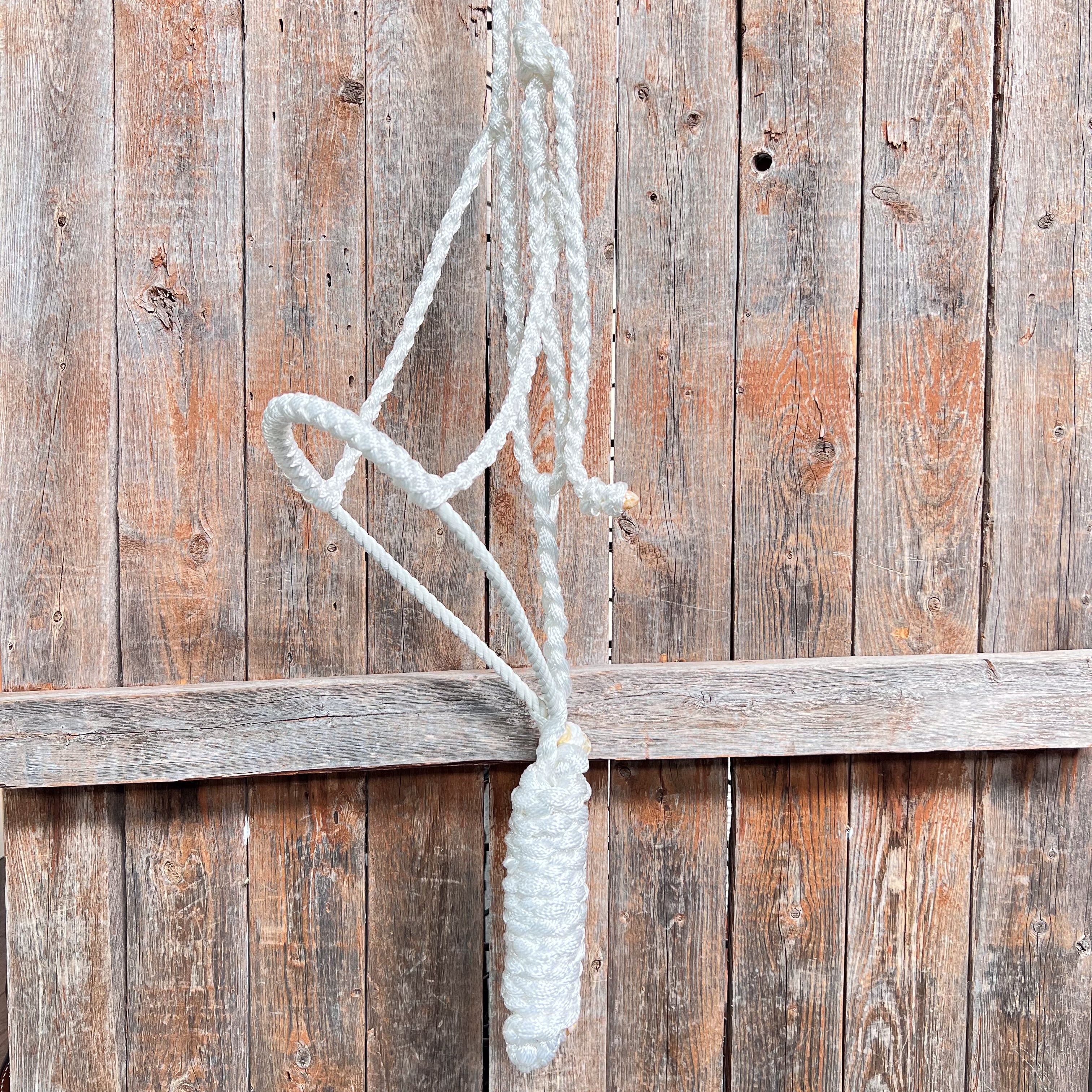 White Lariat Noseband Mule Tape Halter — view 3
