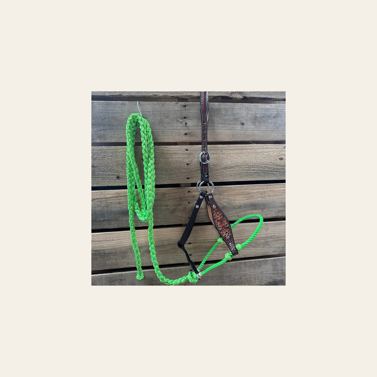 Lime Flower Power Tooled Lariat & Leather Combo Halter on a warm cream background