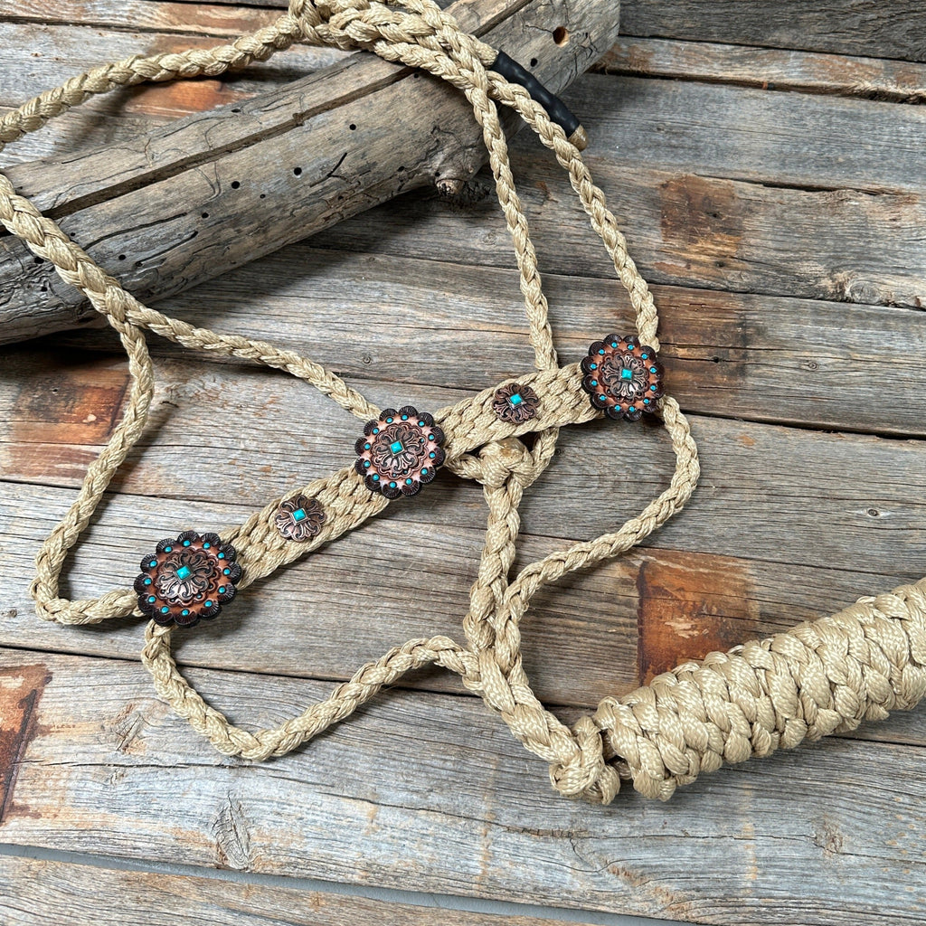 Tan and Turquoise Mule Tape Halter - #MT116