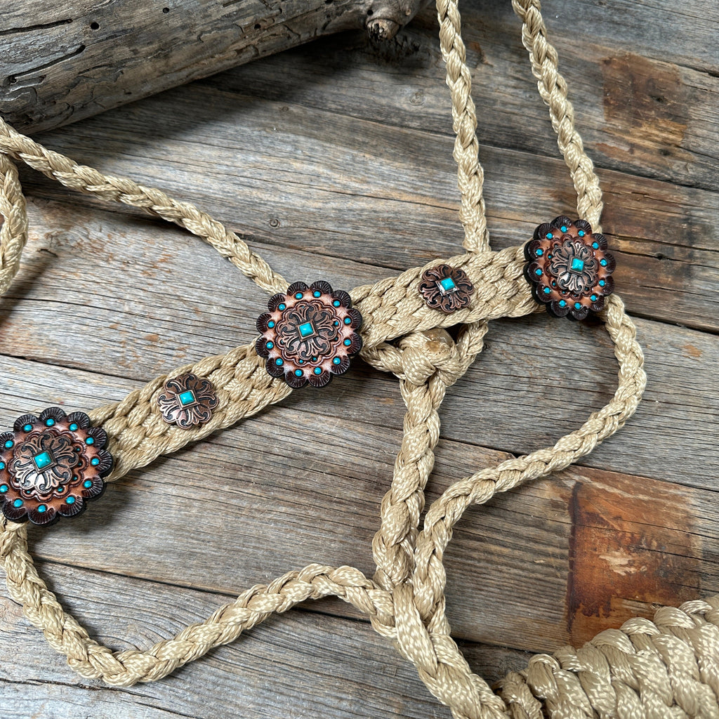 Tan and Turquoise Mule Tape Halter - #MT116 — view 2