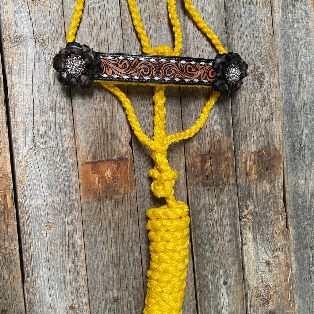 Yellow Mule Tape Halter - Black and Clear #MT201
