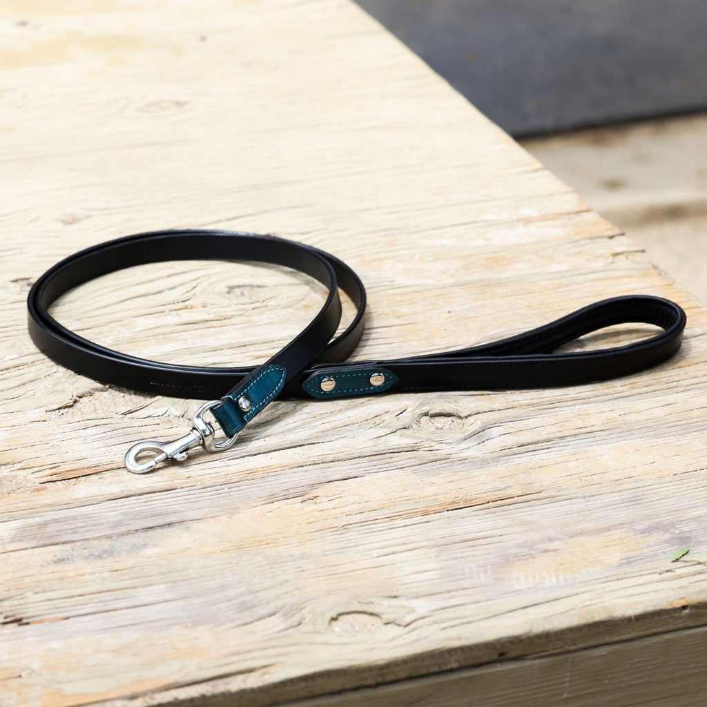 Halter Ego® Metallic Teal Dog Leash by Halter Ego®
