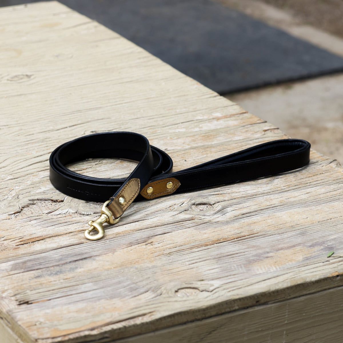 Halter Ego® Milan Dog Leash by Halter Ego®