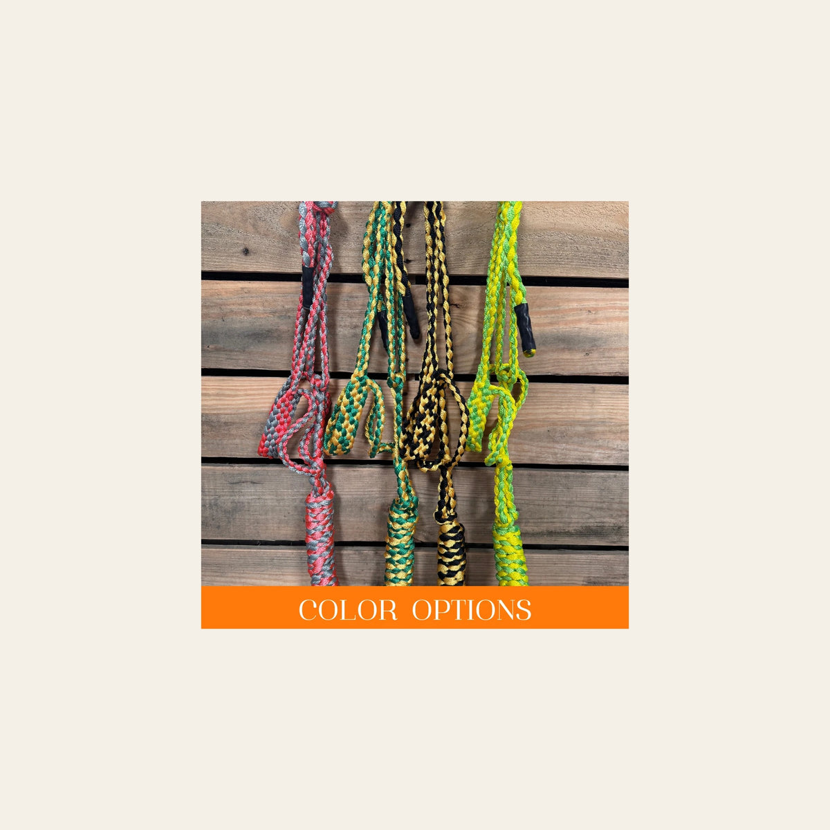 Mule Tape Halters - Two Tone Assorted Colors- on a warm cream background