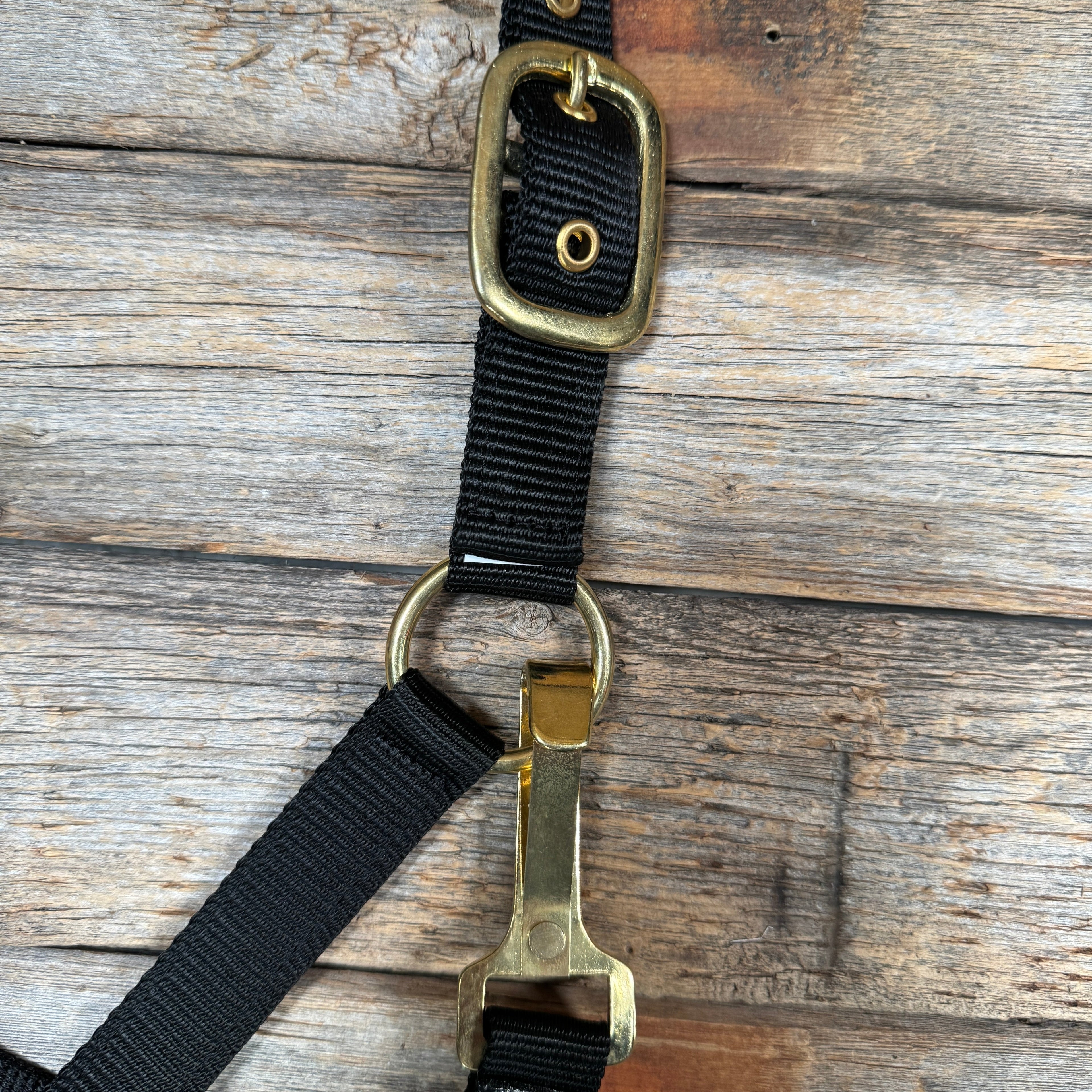 Black Nylon Halter with Floral Leather Noseband #NH116 — view 4