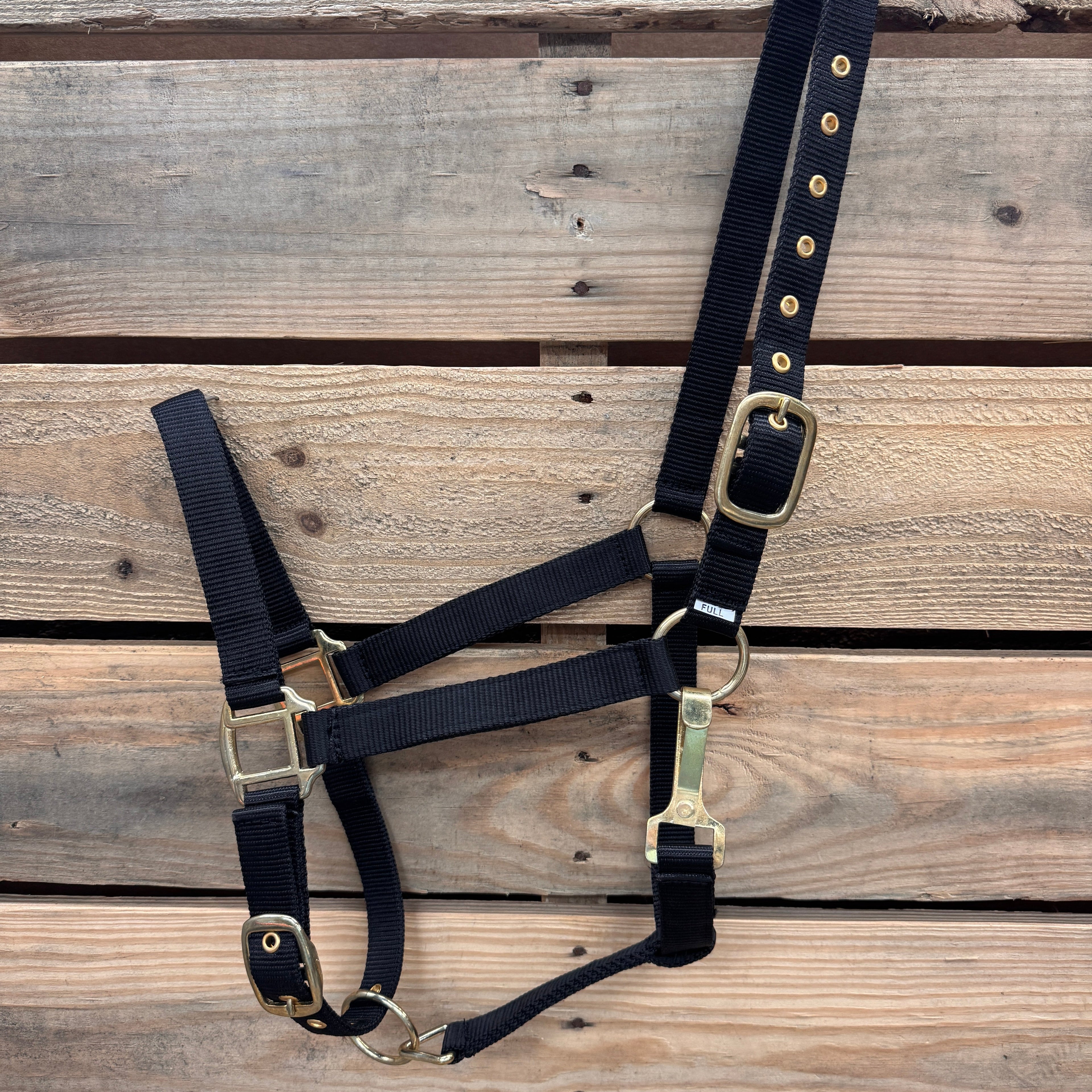 Nylon Horse Halter - Assorted Colors — view 2