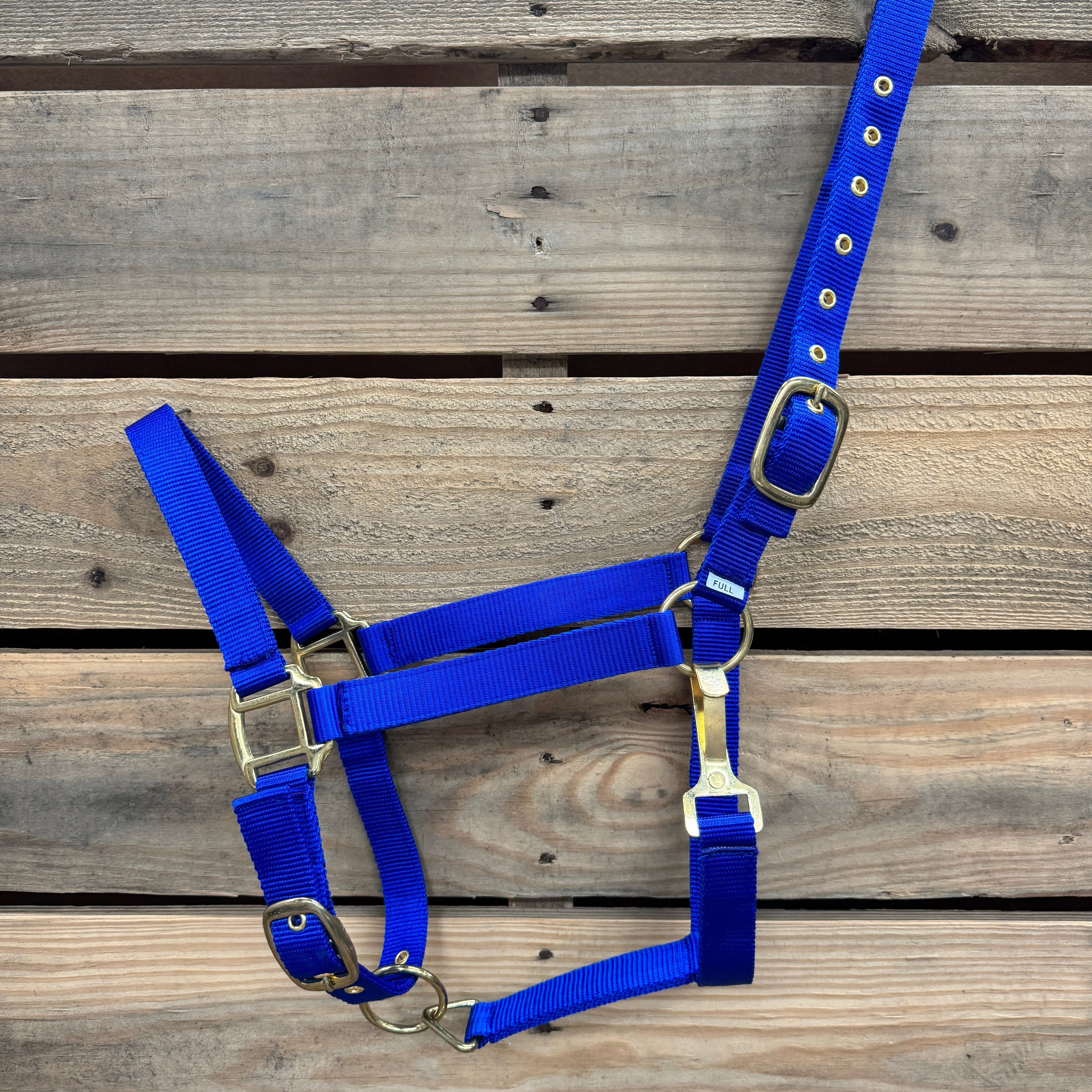 Nylon Horse Halter - Assorted Colors — view 3