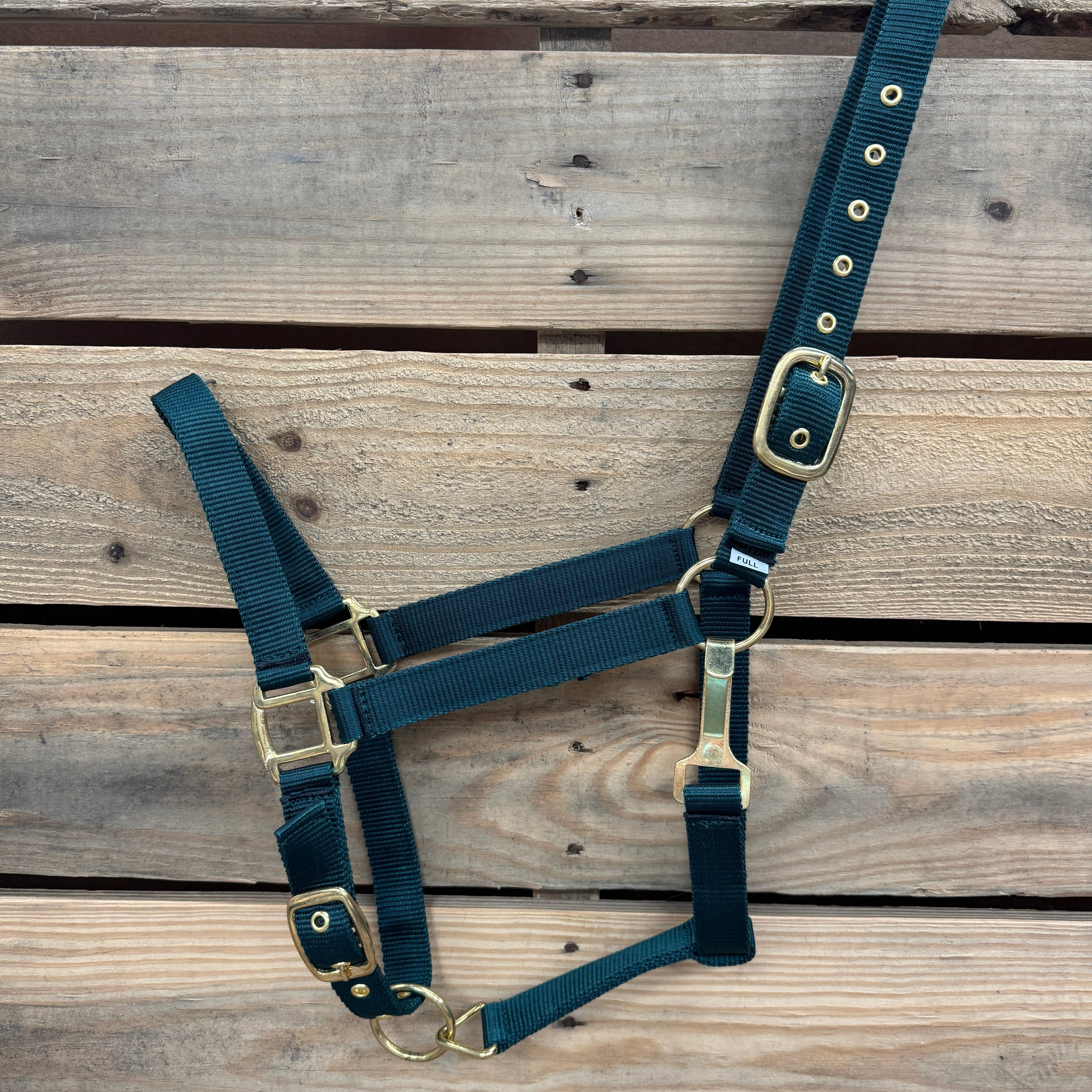 Nylon Horse Halter - Assorted Colors — view 4